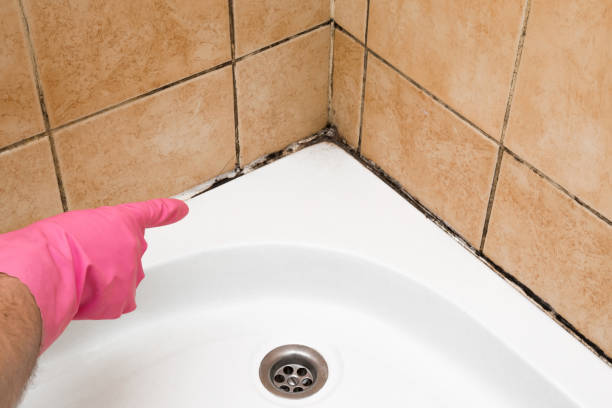 Best Mold Cleaning Services  in Strodes Mills, PA